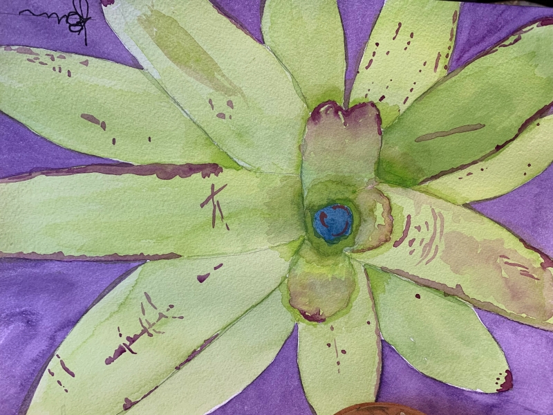 Nature’s Palette by artist K June Baker